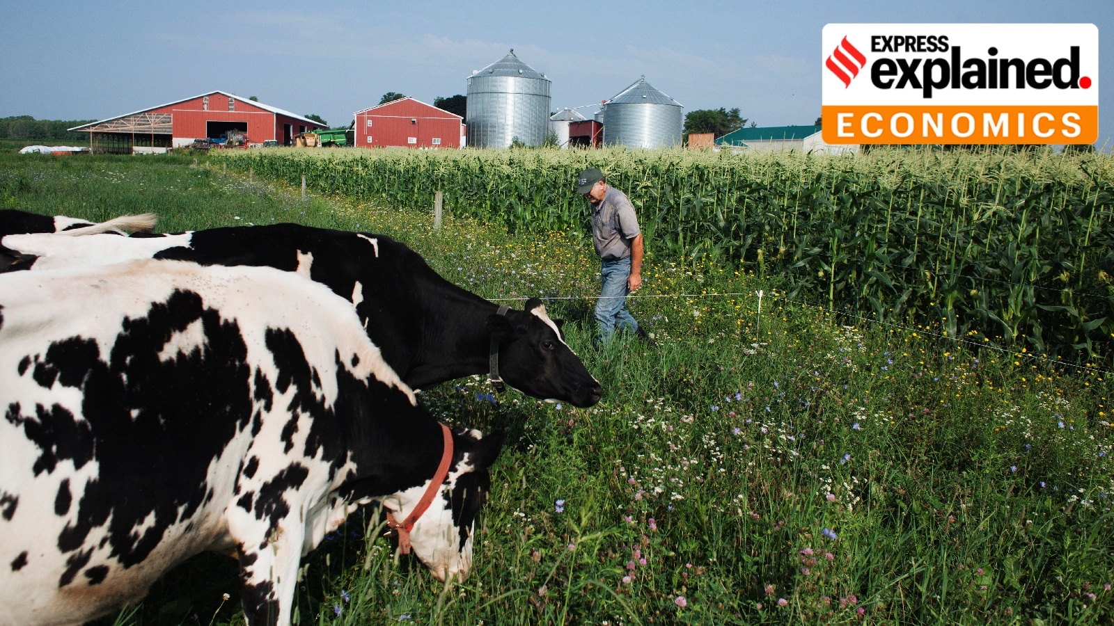 On a per capita basis, American farmers receive significantly more government support than their Indian counterparts. (Libby March/The New York Times)