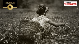 Women in Assam's tea industry (Source: Wikipedia)
