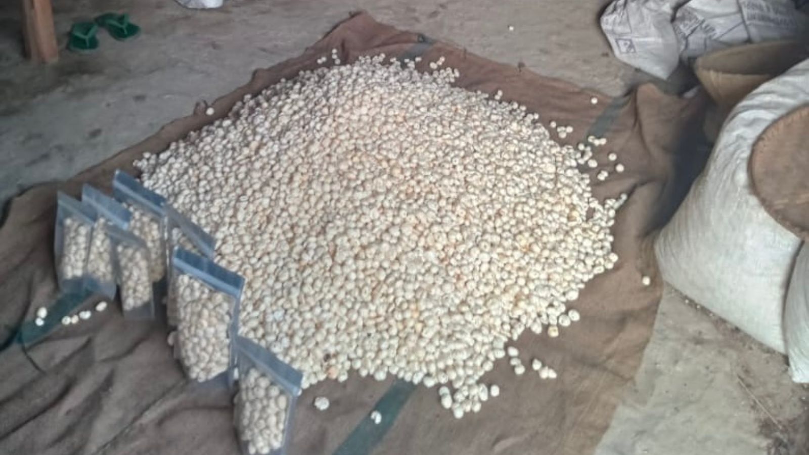 makhana ready for markert