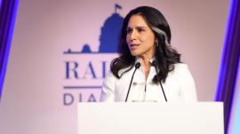 Tulsi Gabbard