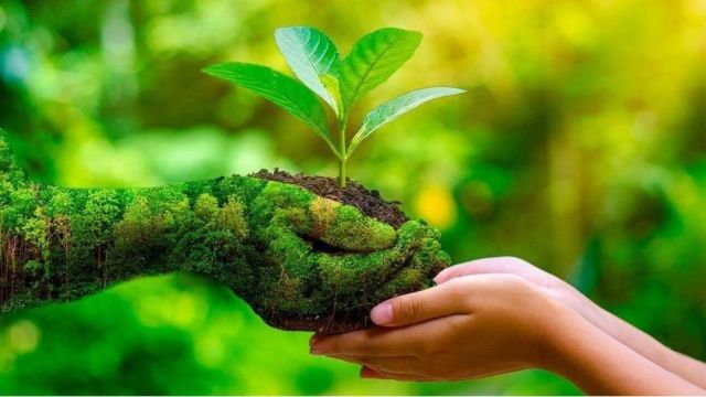 Under the programme, individuals, communities and private industries that engage in environment-positive actions get tradable ‘green credits’.
