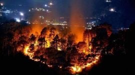 forest fire, brazil