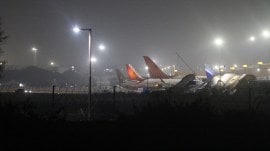 IGI airport, bird aircraft strike, delhi hc, indian express