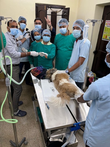Led by Dr S Mondal, the team adopted human medical technology to treat their four-year-old canine patient, in a first-of-its-case in Eastern India. 