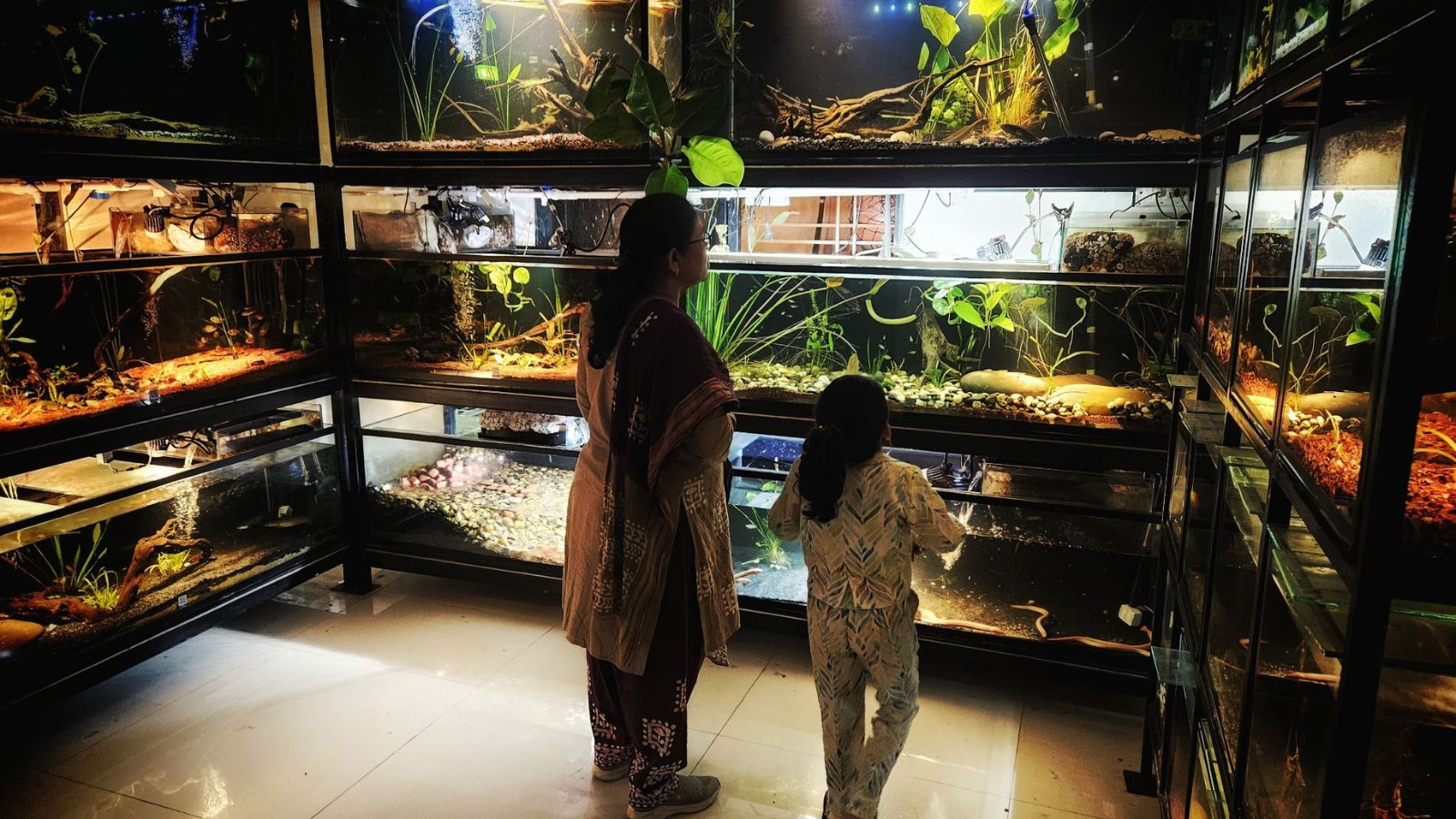 【入手困難】Habitat Creation and Repair 植物学 入手困難】Habitat Creation and Repair 植物学 入手困難】Habitat