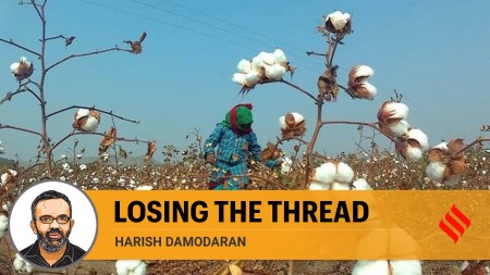 India’s cotton imports have doubled in value during April-January 2024-25 over April-January 2023-04 (from $518.4 million to $1,040.4 million) alongside dip in exports (from $729.4 million to $660.5 million).