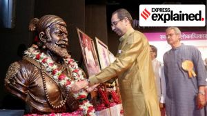 The role of Marathi in the political dynamics of Mumbai and Maharashtra