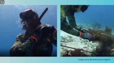 The chilling footage ends with the diver managing to break free (Image source: @thetatvaindia/Instagram)