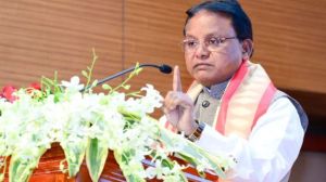 panchayati raj divas