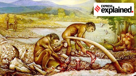 When our ancestors started using tools: the theories and the evidence