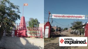 Explained: The story of the PEPSU Muzhara Movement, observed on March 19