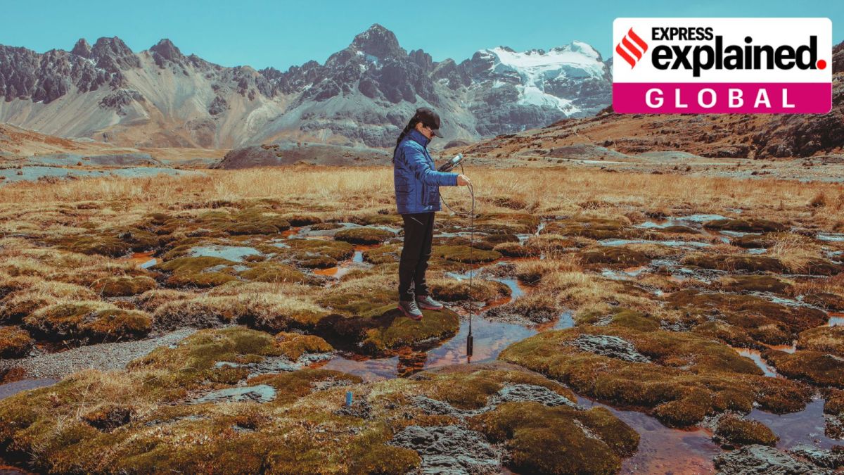 A member of the National Institute of Glacier and Mountain Ecosystem Research, or Inaigem, on a field work trip to take water samples in wetlands in the basin of Patoruri, in the Cordillera Blanca, a mountain range in Peru containing the world’s largest concentration of tropical glaciers, Aug. 16, 2024. climate change, glacier melting