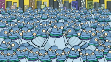 pigeons
