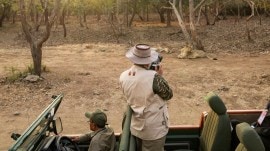 PM’s wildlife push: Cheetahs in more areas, lion survey, conservation plans