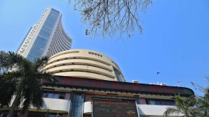 Sensex Nifty, domestic stock markets