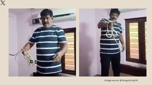 Professional snake catcher rescued the reptile and its hatchlings (Image source: @TeluguScribe/X)