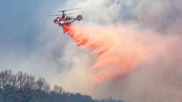 South Korea Wildfires
