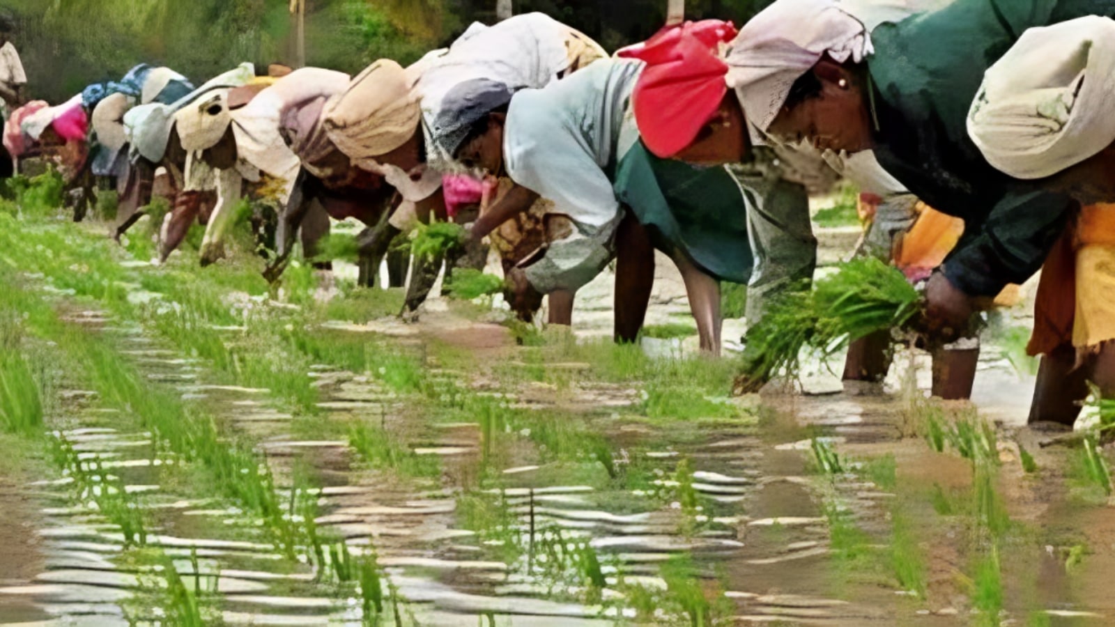 What’s new in the agricultural budget of Tamil Nadu | India News