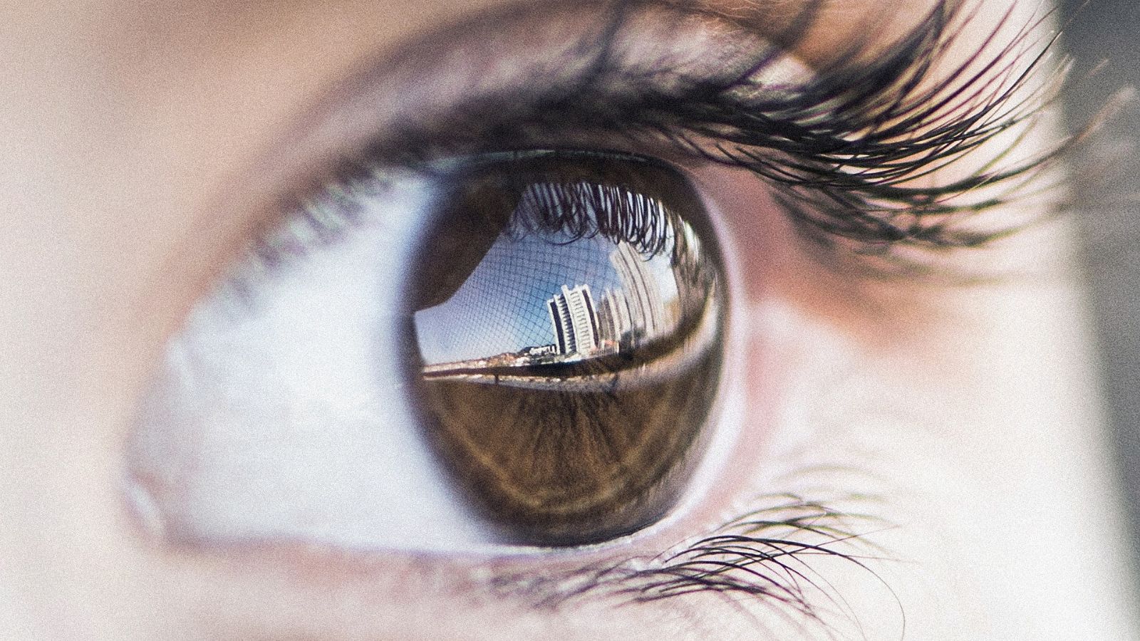 Elon Musk’s Neuralink to implant ‘Blindsight’ chip in first human by 2025