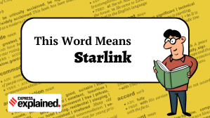 This Word Means: Starlink