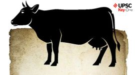 Sunita Williams, Butch Wilmore, International Space Station, Crew Dragon, Crew-9, global, World Happiness Report rankings, Nordic nations, Tiger poaching, tirzepatide, Mohammad Hanif Quareshi, slaughter bans in India, reciprocal tariffs, Trump, Trade war, Rules of Origin, India—EU, Rajasthan Coaching Centres (Control and Regulation) Bill, 2025, India's power shortage concerns, Aurangzeb,