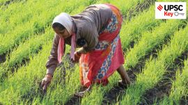 upsc civil services exam, Indian express for upsc, sarkari naukri, government jobs, ias, pcs, ifs, foreign relations, UPSC, upsc 2025, upsc mains 2025, upsc 2025 prelims, UPSC key, Upsc Prelims results, UPSC key terms, upsc news, upsc syllabus, UPSC KEY, Upsc Key terms, IAS current affairs, upsc Key Indian express, The Indian Express current Affairs, Is Indian Express Good for UPSC, upsc today news, upsc newspaper, Indian express today important news for upsc, Indian express monthly current affairs, What should I read in Indian Express for UPSC today, UPSC Answer Key, UPSC Online, IAS, IPS, upsc current affairs news, UPSC KEY News, UPSC Civil services news, UPSC Prelims 2025, UPSC Mains 2025, UPSC Mains 2025, UPSC Mains 2025, UPSC Prelims 2025, UPSC General Studies 1, UPSC General Studies II, UPSC General Studies III, UPSC General Studies IV, upsc, upsc mains 2025, UPSC mains answer writing, upsc GS paper 1, upsc mains GS paper 1, upsc geography, upsc history, gs paper 1, upsc, upsc mains 2025, UPSC mains answer writing, upsc gs paper 4, upsc mains gs paper 4, upsc ethics, gs paper 4, sarkari naukri, government jobs, Current events of national and international importance, History of India and Indian National Movement, Indian Heritage and Culture, History and Geography of the World and Society, Governance, Constitution, Polity, Social Justice and International relations, Technology, Economic Development, Bio diversity, Environment, Security and Disaster Management Ethics, Integrity and Aptitude, Indian Express UPSC Key, Upsc Indian Express, sarkari naukri, upsc CSE, National Judicial Appointments Commission (NJAC) Act 2014, collegium system, Justice Yashwant Varma, Digital Personal Data Protection Act, 2023 (DPDP Act), Section 44(3) of the DPDP Act, India BioEconomy Report, Bioeconomy, report by the US Commission on International Religious Freedom (USCIRF), Constitution (99th Amendment) Act, Tribhuvandas Patel, Dr Verghese Kurien, Sarada Muraleedharan, Allahabad High Court, rape, deepfake