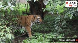 UPSC Key: Smart Cities Mission, National Board for Wildlife, and Federalism