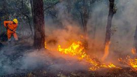 Uttarakhand forest fire, forest fire, Uttarakhand forest fire season, Uttarakhand Forest Department, Uttarakhand Govt, Supreme Court, Indian express news, current affairs