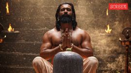 Vicky Kaushal Chhaava Box office day 41