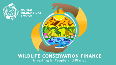 World Wildlife Day Theme 2025 (Source: UN)