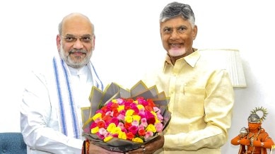 UP, Bihar population welcome sign, not a problem, says Naidu