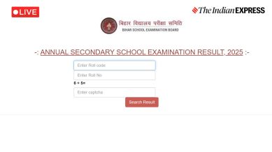 BSEB Bihar Board 10th Matric Result 2025 Highlights: Websites to check Bihar Board Matric results