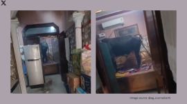 To shoo the bull away, neighbours tried crackers, splashing water, sticks but nothing worked