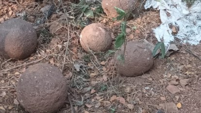 ASI hits pause on Old Goa tourism project after 'Portuguese-era'  cannonballs are found during excavation | India News - The Indian Express