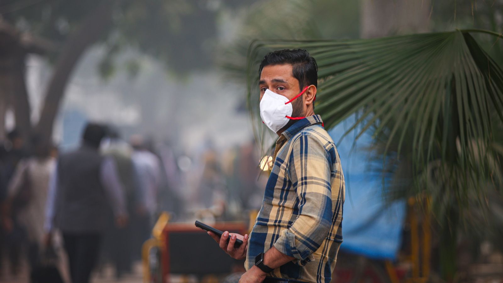 Delhi sees surge in Influenza B, swine flu cases across age groups, say ...