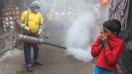dengue in kolkata