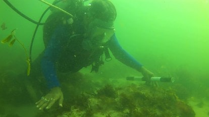 Dwarka coast in Gujarat: What is ASI's underwater exercise to understand ancient city 'in a better way' | Ahmedabad News - The Indian Express