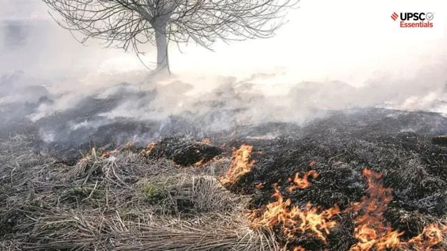 UPSC Essentials | Daily subject-wise quiz : Environment and Geography (Week 101)