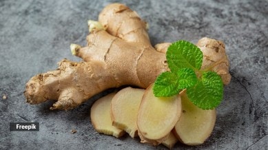 ginger