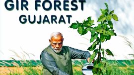 Gir National Park, Gir National Park and Wildlife Sanctuary, modi gir visit, Gir, Ahmedabad news, Gujarat news, Indian express, current affairs