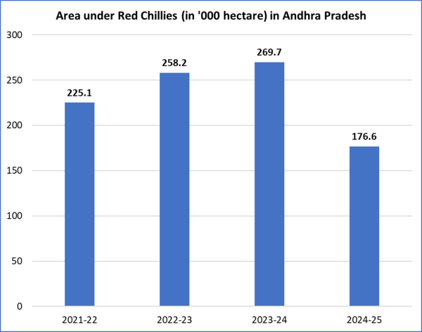 chilli farming