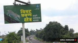 leopard hoarding, pune news, indian express