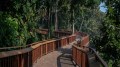Elevated forest walkway at Mumbai’s Malabar Hill to be opened to public tomorrow