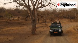 PM Modi chairs his first Wildlife Board meeting: History, role, impact of the body