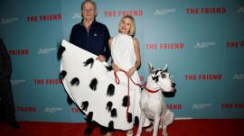 Meet Bing, the Great Dane starring in The Friend alongside Naomi Watts and Bill Murray.