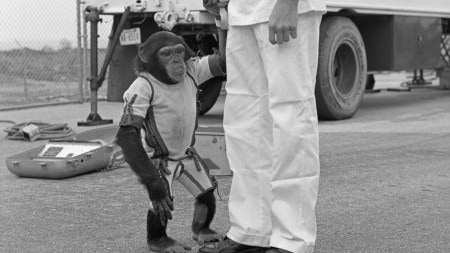 Discover the animals that have ventured into space, from Laika the dog to space chimps and tortoises. Learn how these non-human astronauts shaped space exploration.