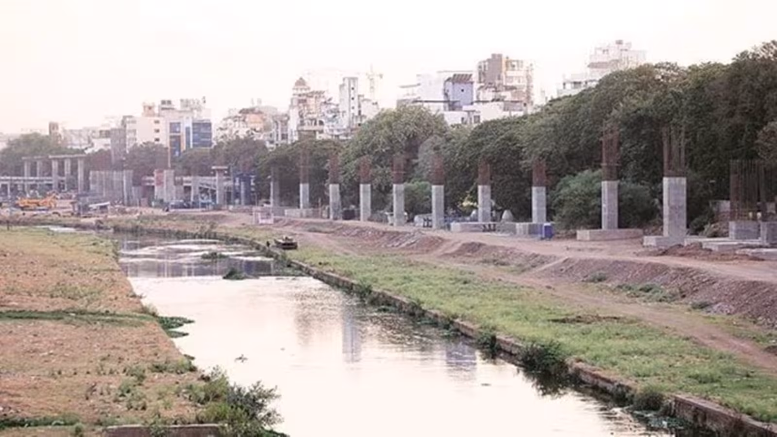 pune, green cover, green heritage,