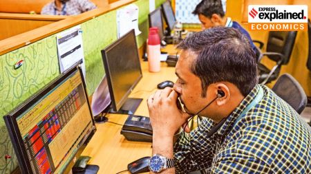 Market correction India, Sensex fall February 2025, Nilesh Shah market advice, Foreign investors selling India, indian express, express explained