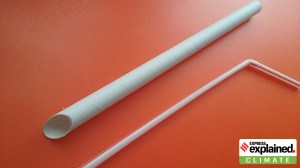 As Donald Trump rolls back paper straws, are plastic straws really so bad for the environment?