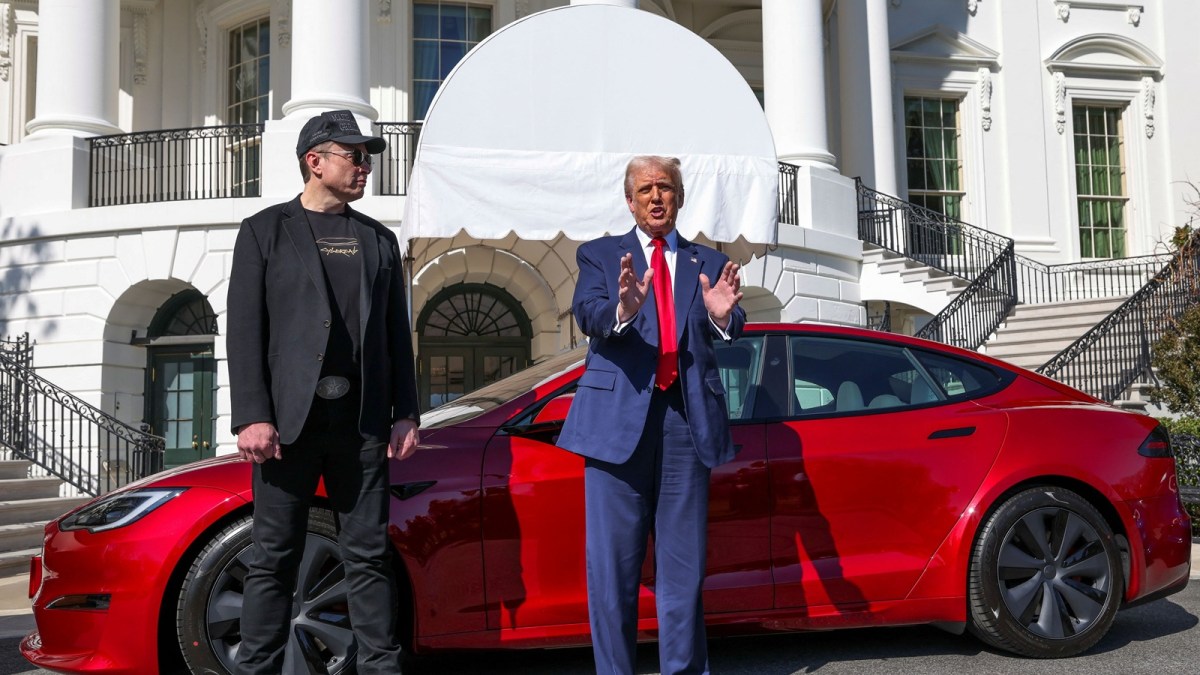 trump musk tesla